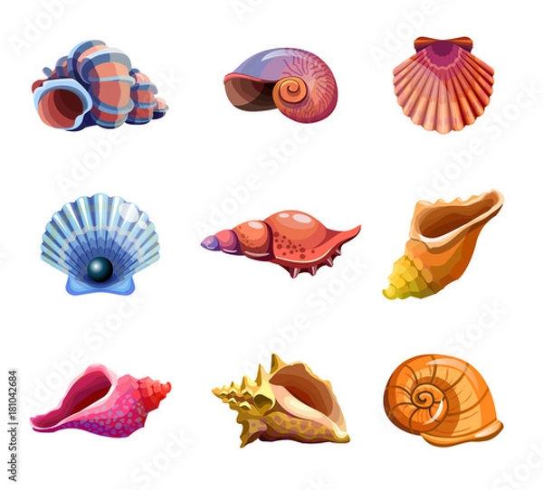 Obraz Colorful tropical set of sea shells. Underwater icons. Vector illustration