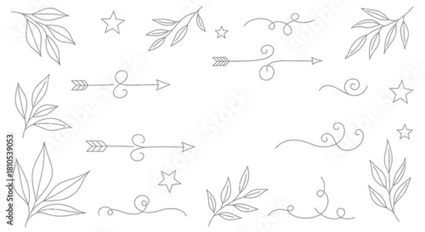 Fototapeta Elegant Hand-Drawn Floral Decor Elements