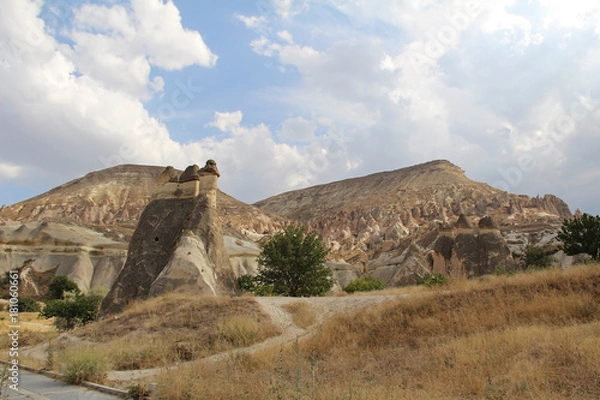 Fototapeta Natural valley with volcanic tuff stone rocks in Pasabag in Cappadocia, Turkey.
