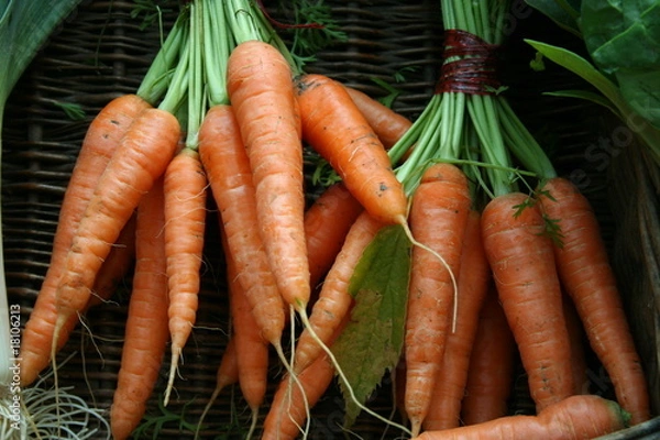 Obraz carrot, carrots, market
