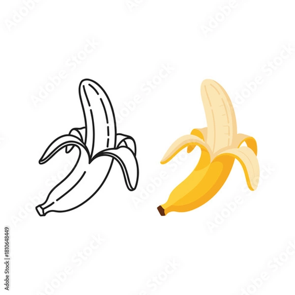 Fototapeta Banana in color and line art isolated on, tropical fruit