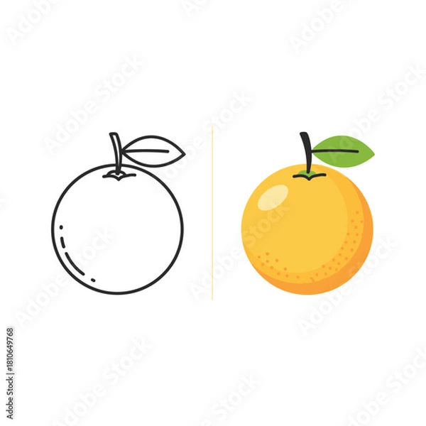 Fototapeta Orange fruit with leaf isolated on in color and line art