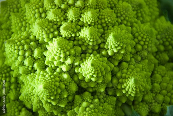 Obraz Cauliflower Romanesco.
