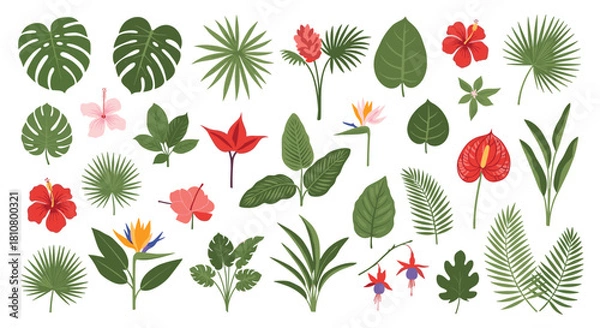 Fototapeta Collection of tropical leaves and exotic flowers, including monstera, palm, hibiscus, and bird of paradise, on a white background.