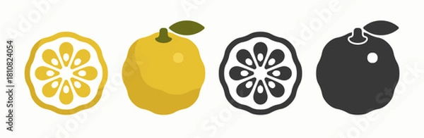 Obraz Set of yuzu fruit icon or logo design template isolated on white background. Vector illustration