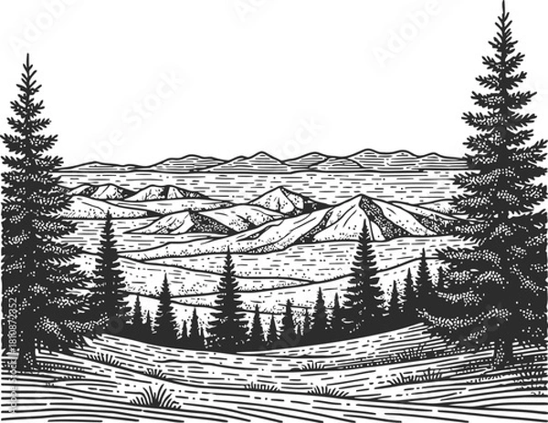 Fototapeta Engraved tree trunk silhouette with coniferous branches against a dark backdrop