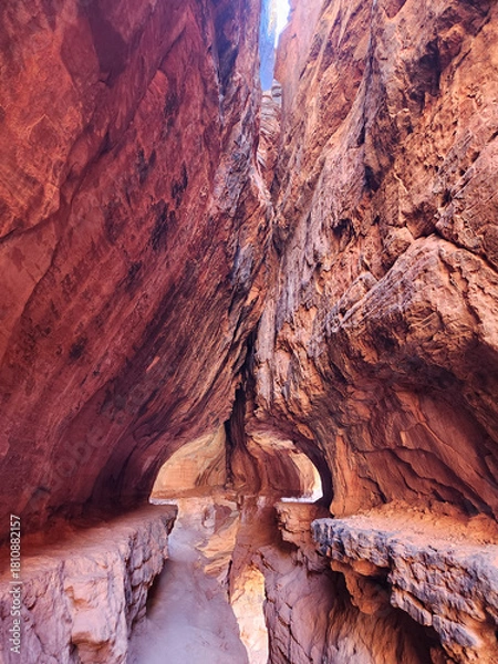 Obraz Red rock in Sedona
