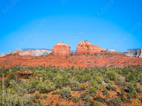 Obraz Red rocks in Sedona