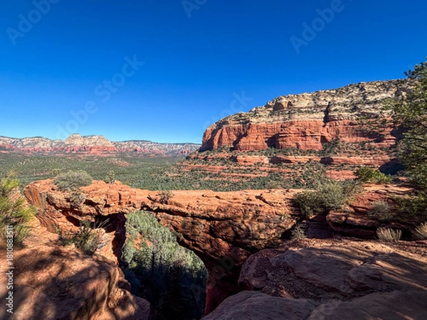 Obraz Red rocks in Sedona