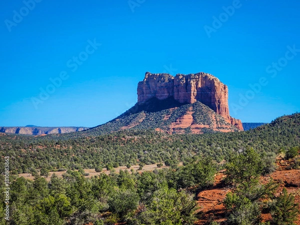 Obraz red rock in Sedona