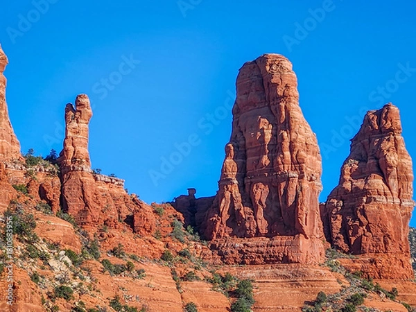 Obraz red rock in Sedona