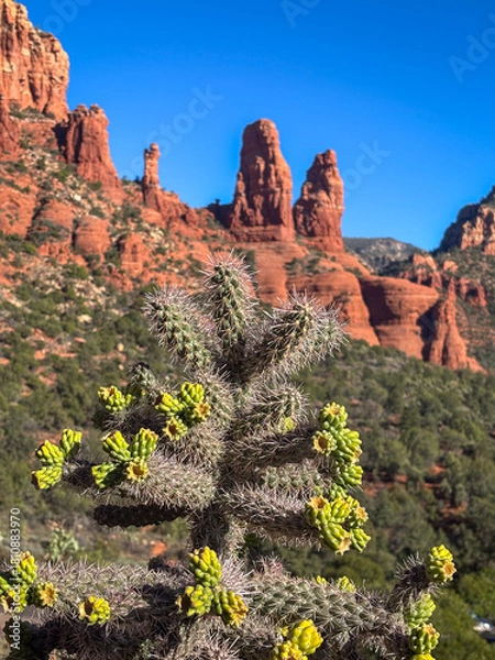 Obraz red rock in desert