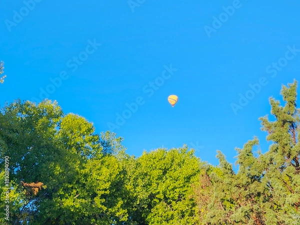 Obraz hot air balloon in the sky