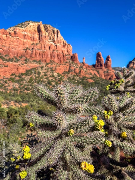 Obraz red rock in desert