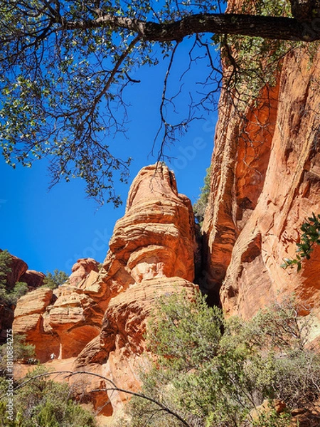 Obraz red rock in desert