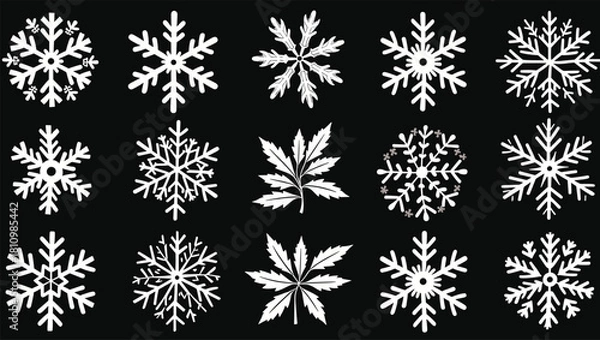 Obraz Elegant White Ornamental Geometric Shapes and Decorative Elements on Black Background Pattern