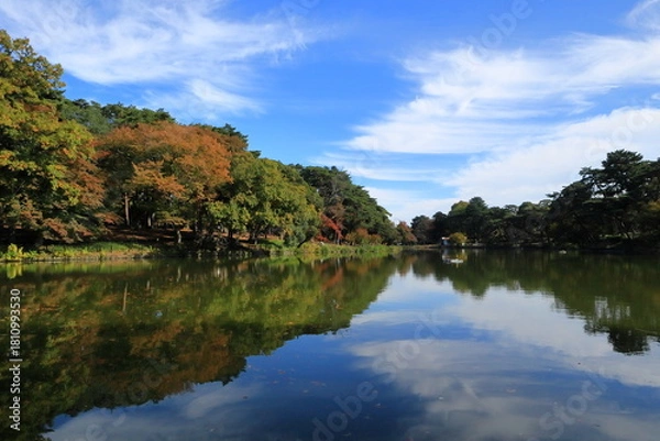 Fototapeta 日本　埼玉の秋の風景