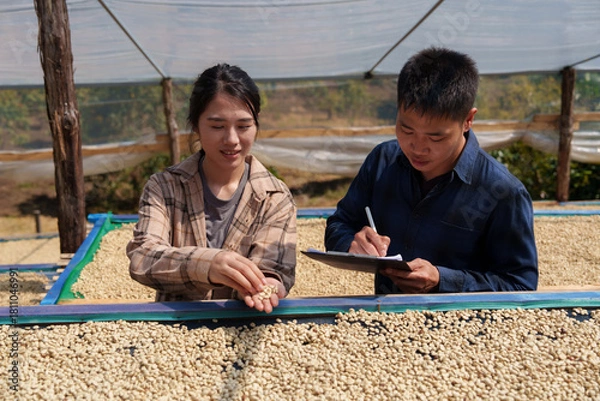 Fototapeta People inspect the roasting of coffee beans in large metal vats, which are a blend of Arabica and Robusta coffee beans to produce high-quality coffee with excellent taste.