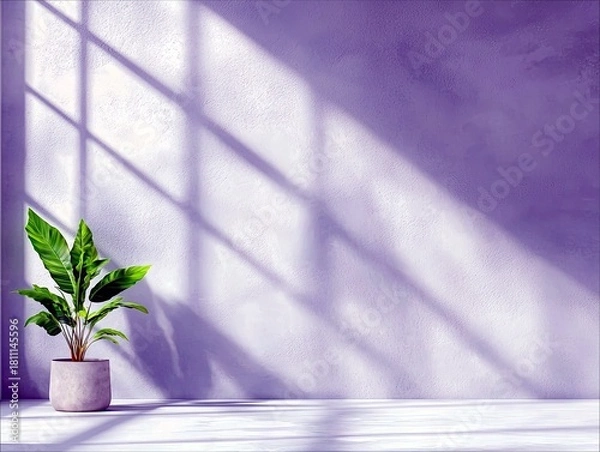 Fototapeta A potted green plant sits on a white floor, with diagonal shadows from a window falling across a textured purple wall.