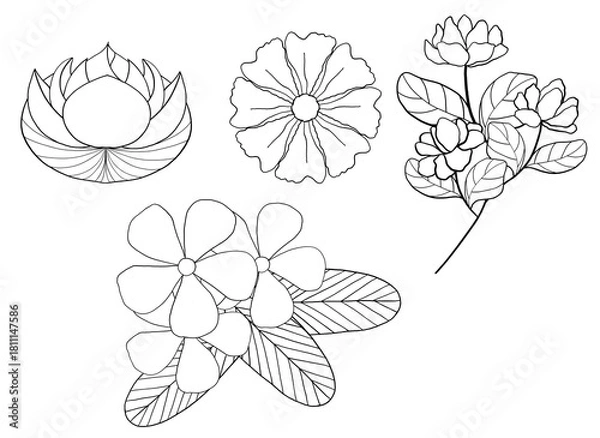 Fototapeta Set outline spring flower bouquet