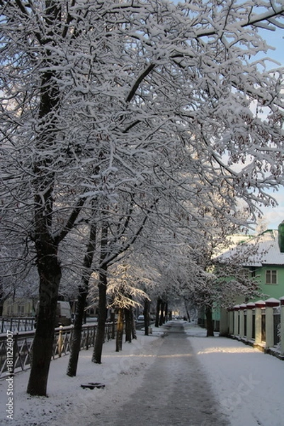 Fototapeta winter street covered with snow, 