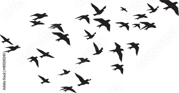 Obraz birds in flight