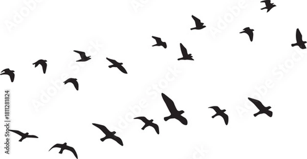 Obraz birds in flight