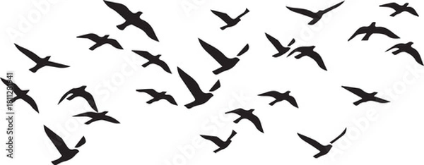 Obraz birds in flight