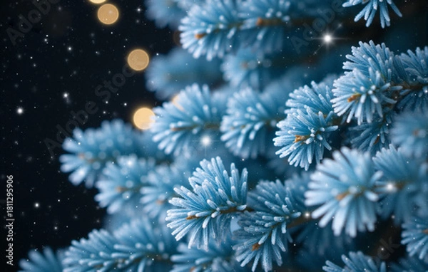 Fototapeta snow covered pine branches