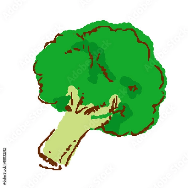 Fototapeta 野菜 ブロッコリ