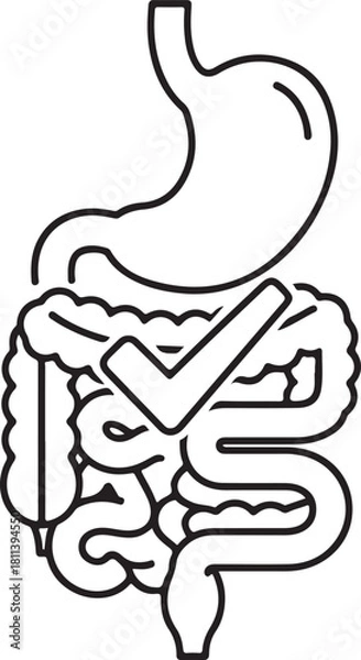 Fototapeta Healthy human digestive system stomach and intestines with checkmark symbol