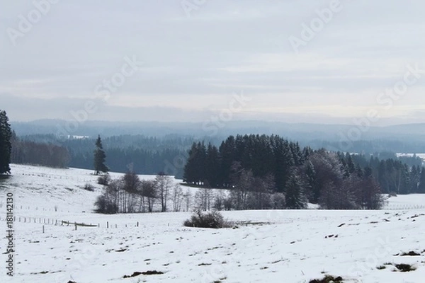 Fototapeta Panoramablick über das winterliche Voralpenland, Allgäu