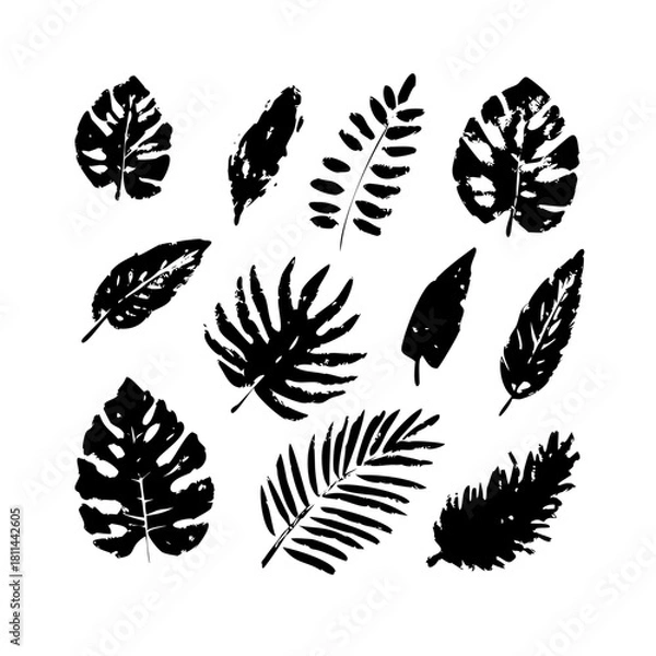 Fototapeta Set of black tropical leaves isolated on in grunge style