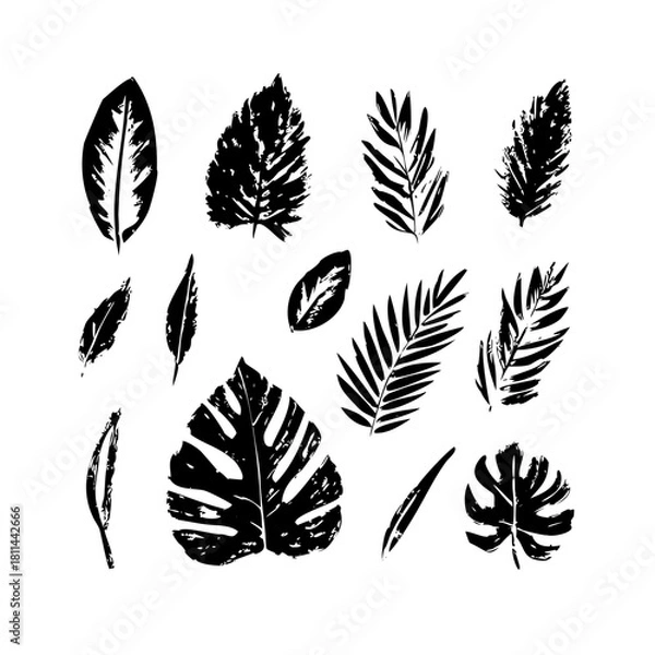 Fototapeta Collection of black tropical leaves isolated on in grunge style