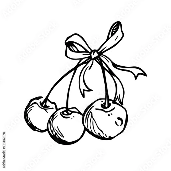 Fototapeta Four cherries tied with a bow isolated on in line art