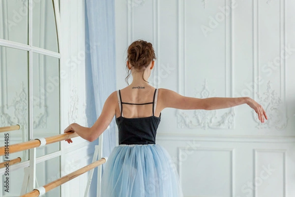 Obraz Young ballet dancer in dance class