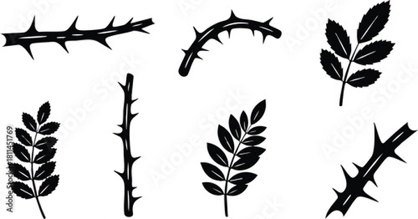 Fototapeta Black silhouette thorn branches and leaves set isolated on white background with sharp pointed thorns natural design elements