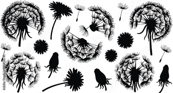 Fototapeta Black silhouette dandelion seeds flying with flowers and seed heads scattered in white background natural pattern