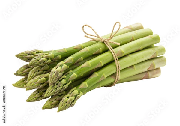 Fototapeta Isolated bunch of fresh green asparagus with rope tie, springtime ingredient, healthy food