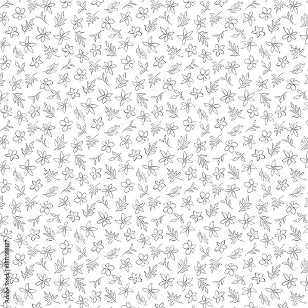 Fototapeta Seamless pattern of sketched flowers and leaves scattered on a white background in a simple style design