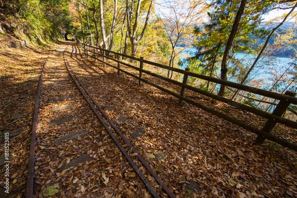 Fototapeta 秋の大井川ダム湖廃線の小道