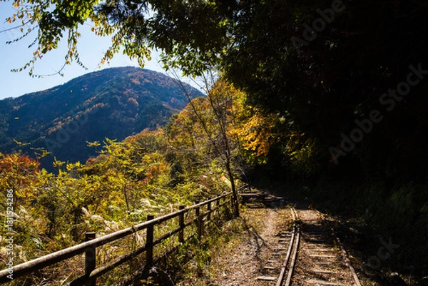 Fototapeta 秋の大井川ダム湖廃線の小道
