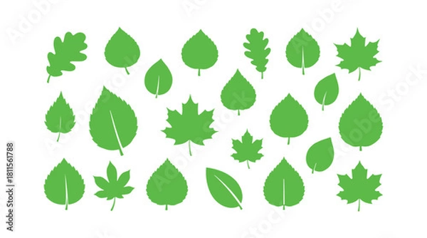 Fototapeta a collection of standalone green leaf icons on a white backdrop