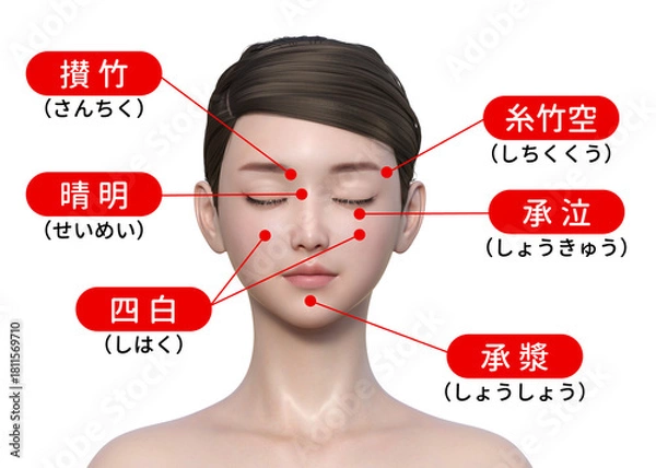 Obraz 顔のツボ 目の周りのツボの3Dイラスト 上半身正面