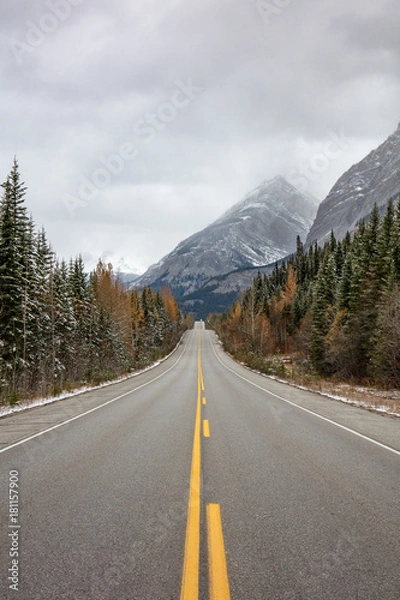 Obraz icefield parkway