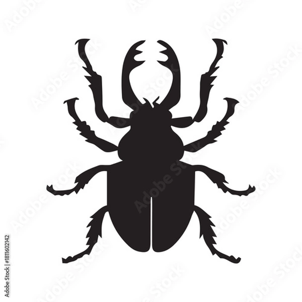 Fototapeta vector illustration of a bug