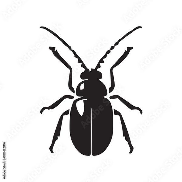 Fototapeta black beetle isolated on white background
