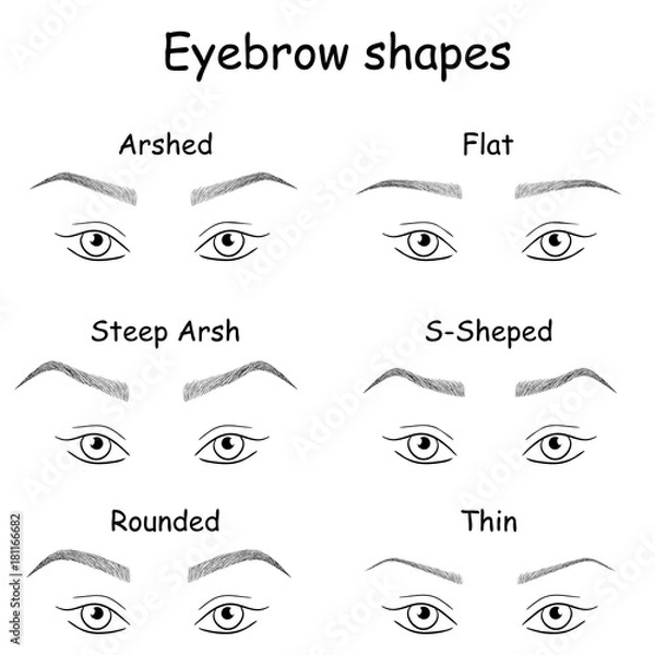 Obraz How to paint the eyebrows