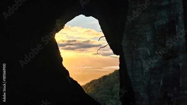Fototapeta sunrise through a burned out hole in a tree