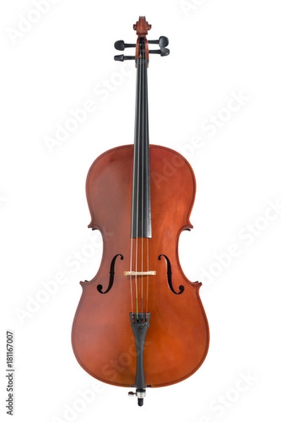 Obraz cello on white background